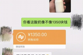 驿城如果欠债的人消失了怎么查找，专业讨债公司的找人方法